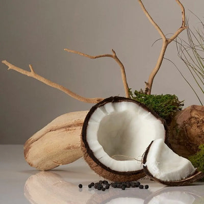 Half a coconut surrounded by driftwood, twigs, & moss against a neutral background