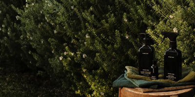 Natural laundry detergent trio by Homecourt displayed outdoors with greenery and folded towels for an eco-friendly vibe.