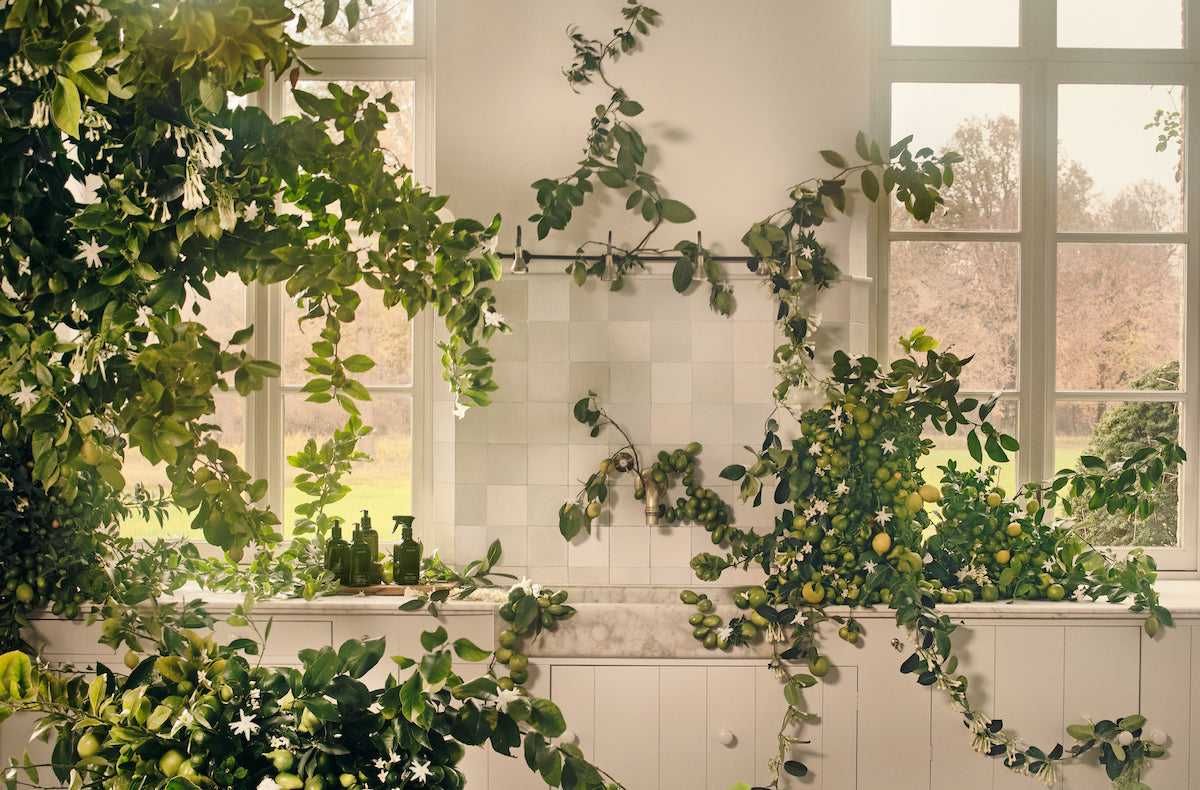 Homecourt | The Beauty of Homecare