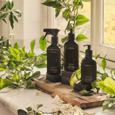 Front view of three dark Homecourt cleaning bottles with a dish soap pump on a wooden board with green leaves