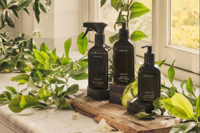 Three dark hydrating hand wash bottles displayed on a sunlit windowsill surrounded by green leaves