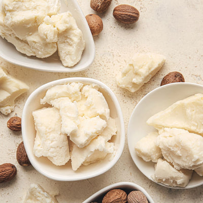 Top-down view of shea butter chunks in white bowls showcasing creamy texture with whole shea nuts on a beige surface