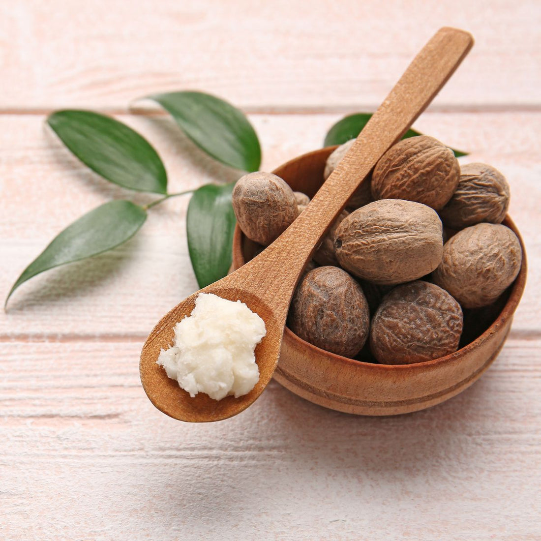 Shea butter on a wooden spoon with a bowl of shea nuts and green leaves on a pale wooden surface