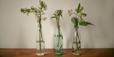 Three glass bottles repurposed as vases holding single white flower stems on a wooden table against a plain wall