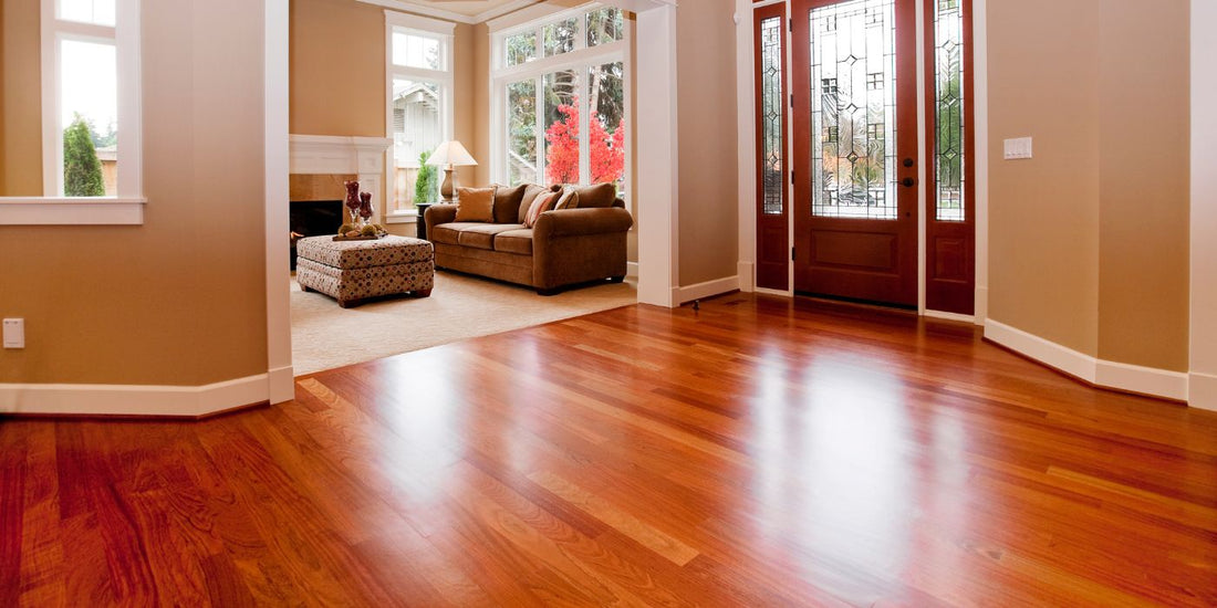 Sunlit entryway with polished reddish hardwood floors, glass-paneled front door, and adjacent living room with a sofa and ottoman
