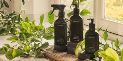 Front view of three dark glass cleaning bottles showing pump and spray dispensers on a wooden board surrounded by green leaves