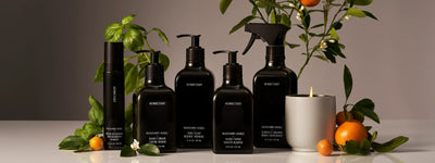 Front view of Mandarin Basile fragrance collection showing black bottles and a lit candle with citrus and basil on a neutral background