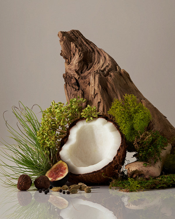 Coconut, fig, spices, and greenery arranged with driftwood to showcase natural body mist and body care ingredients.