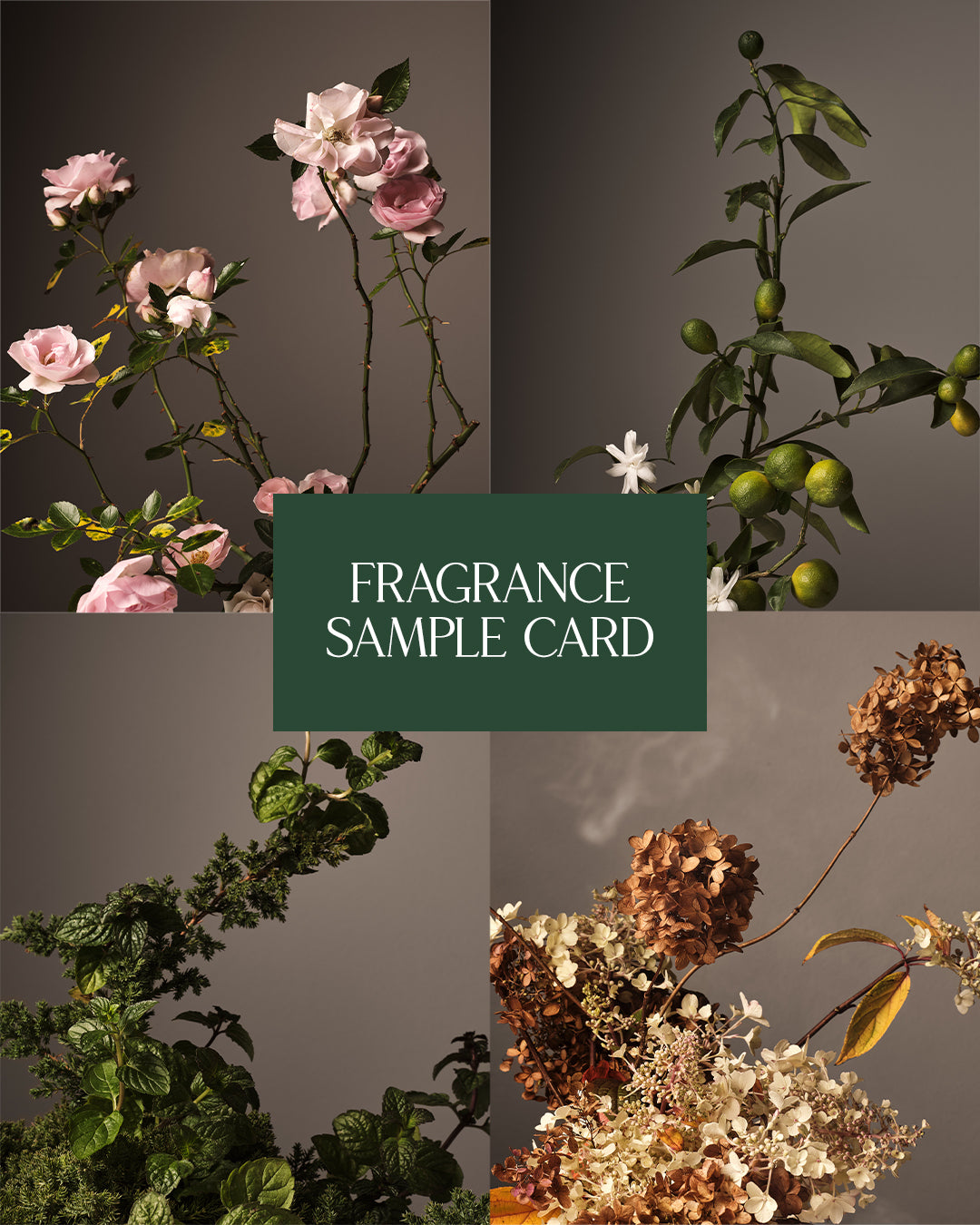 Fragrance Sample Card