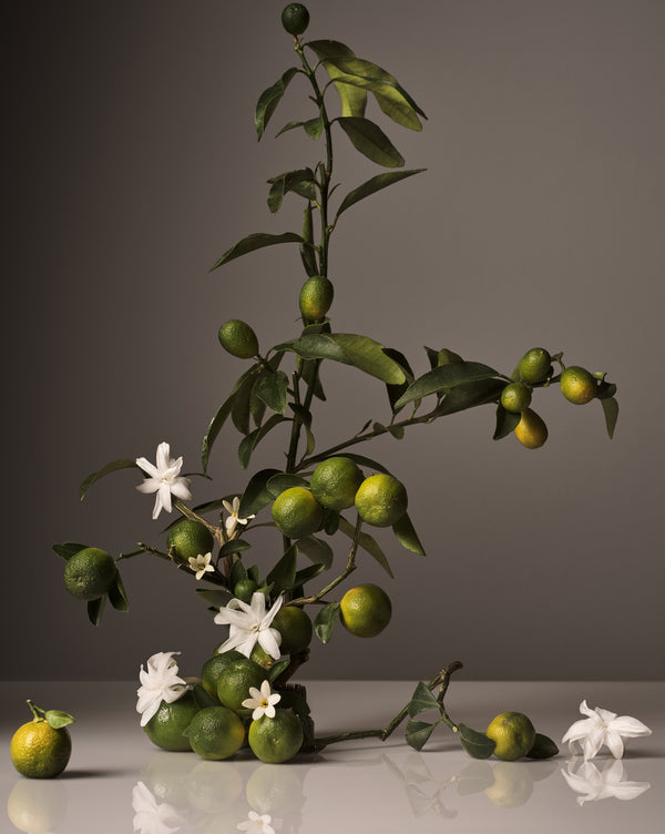 Fragrance:Neroli Leaf