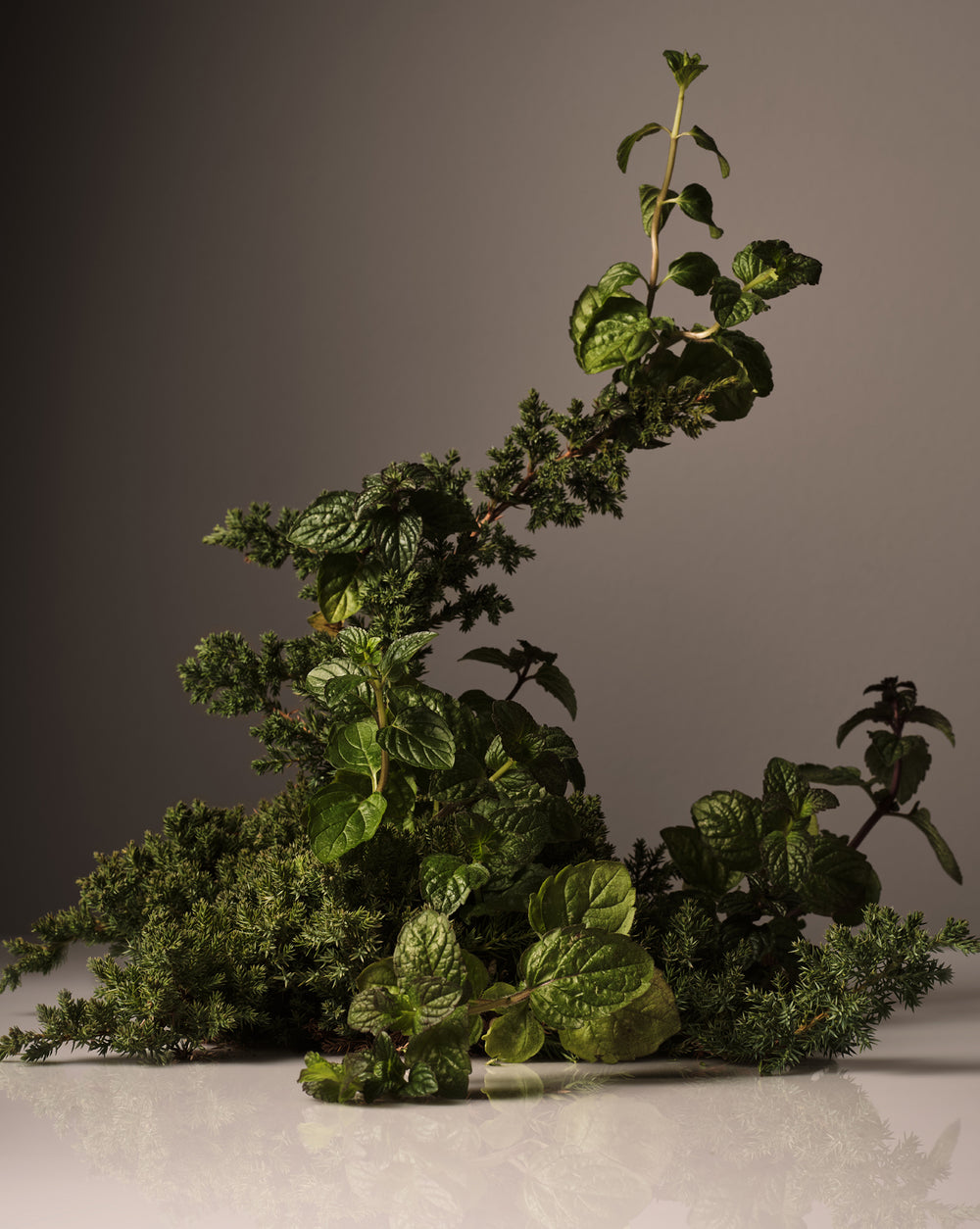 Fragrance:Cipres Mint