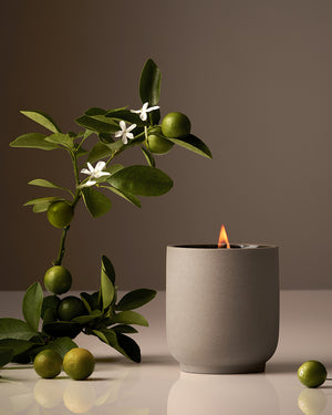 Fragrance:Neroli Leaf