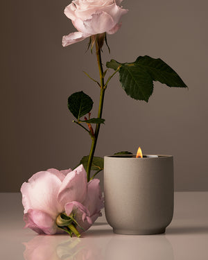 Fragrance:Steeped Rose