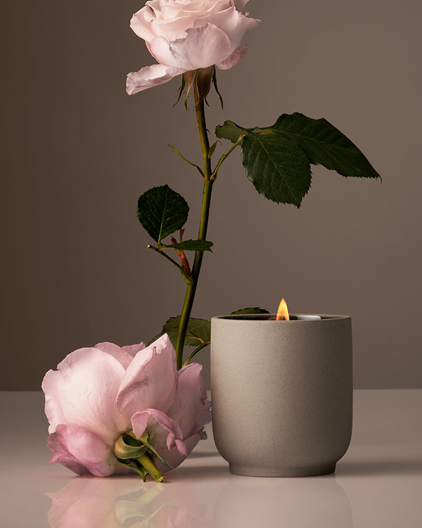 Fragrance:Steeped Rose